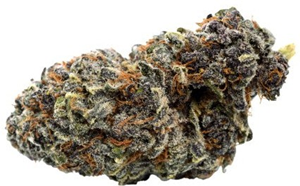 Qwest: Georgia Pie (7g)