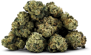 BC Smalls: Pineapple Gummy Smalls (3.5g)